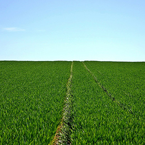 如何借助溫濕度物聯(lián)網(wǎng)技術讓蔬果實現(xiàn)增產(chǎn)優(yōu)產(chǎn)？