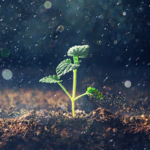 土壤含水量測量為什么這么重要？